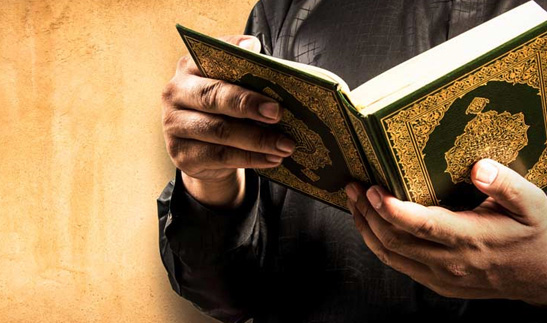 Learn Quran Translation